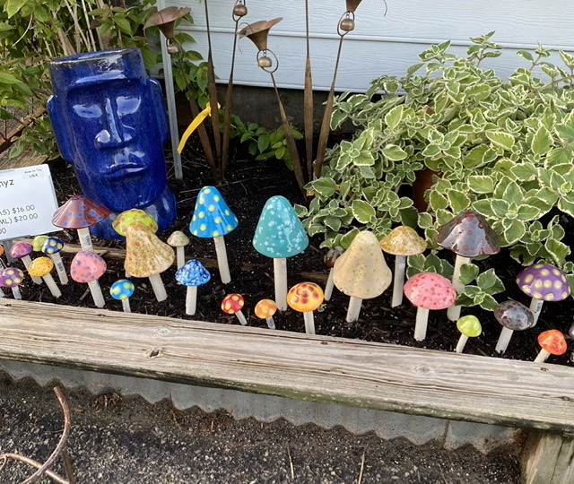 SHROOMYZ- SMALL(S)