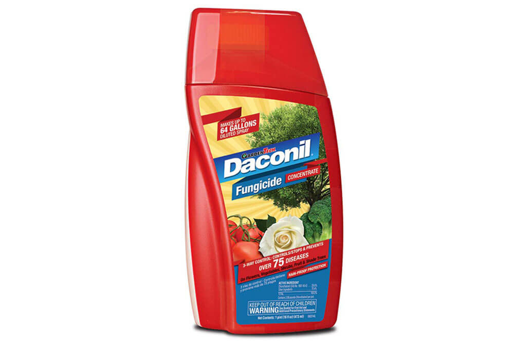 DACONIL, 'FUNGICIDE CONCENTRATE' 16OZ