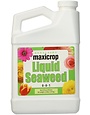 MAXICROP, 'LIQUID SEAWEED 1 gal.