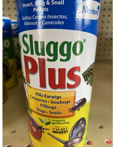 MONTEREY, 'SLUGGO PLUS 1 lb.