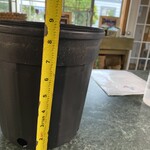 Black Plastic Nursery Growing  Pot, 2 gal.