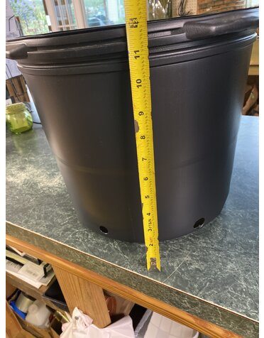 Black Plastic Nursery Growing  Pot, 7 gal.