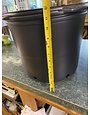 Black Plastic Nursery Growing  Pot, 7 gal.