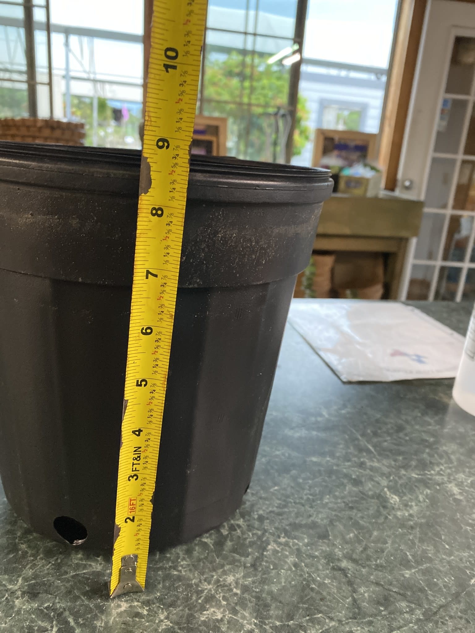 Black Plastic Nursery Growing  Pot, 2 gal.