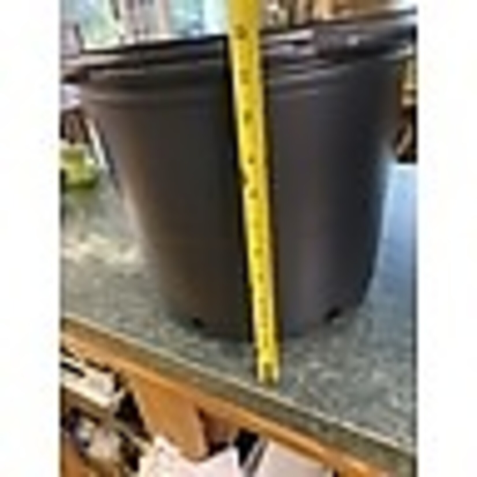Black Plastic Nursery Growing  Pot, 7 gal.