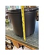 Black Plastic Nursery Growing  Pot, 7 gal.