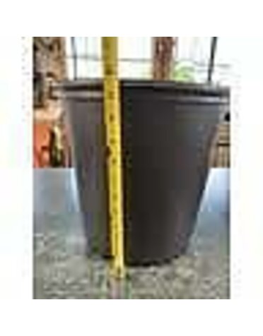 HAVILAND NURSERY POT, '4G 500 SERIES'