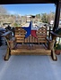 Texas Star Glider (painted)