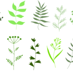 HERB, 4" NOT SOLD ONLINE* $2.99 EA.