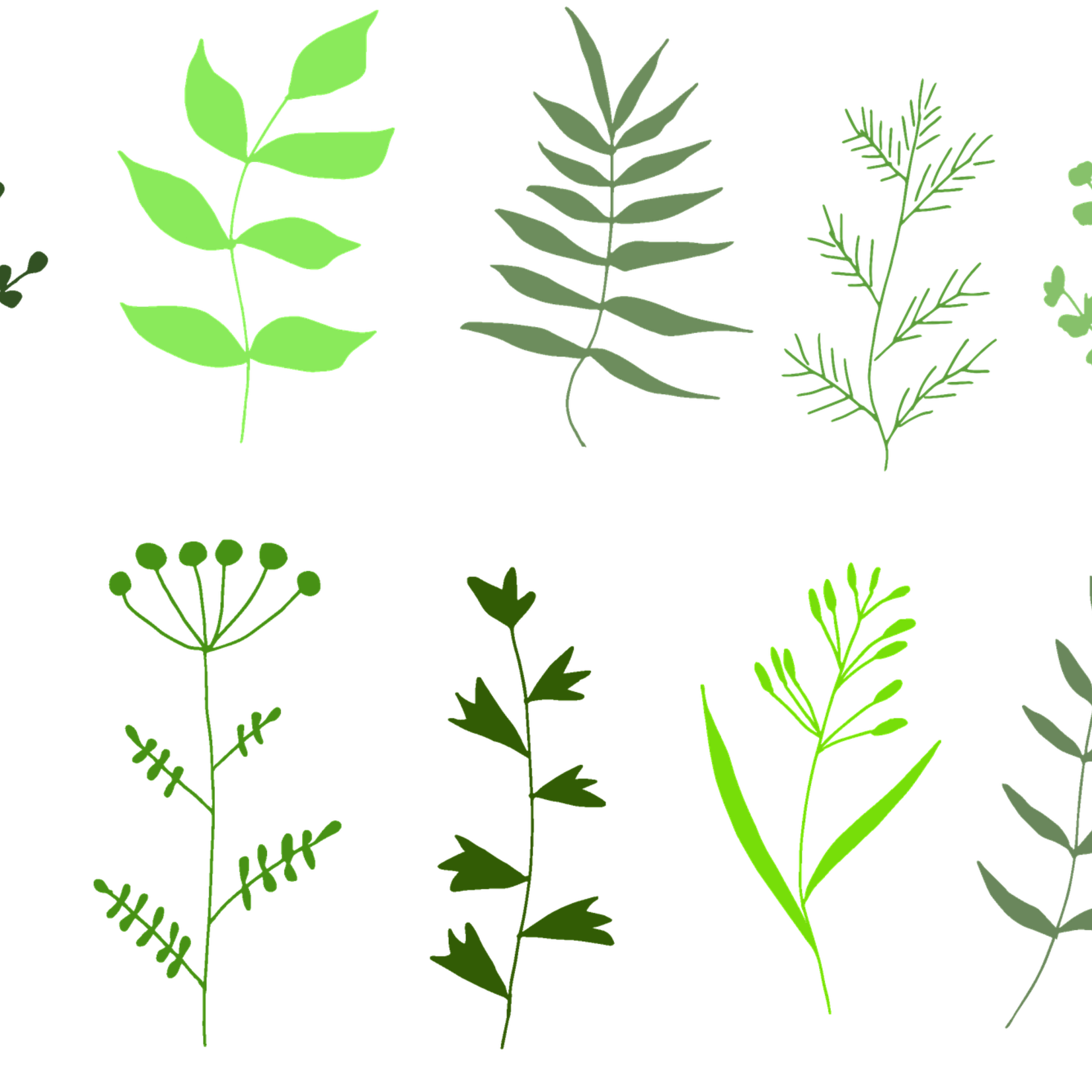HERB, 4" NOT SOLD ONLINE* $2.99 EA.