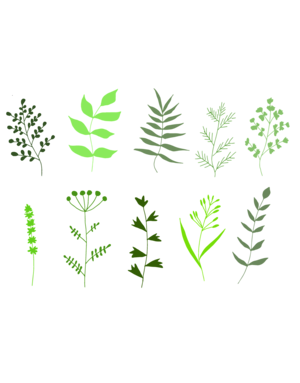 HERB, 4" NOT SOLD ONLINE* $2.99 EA.