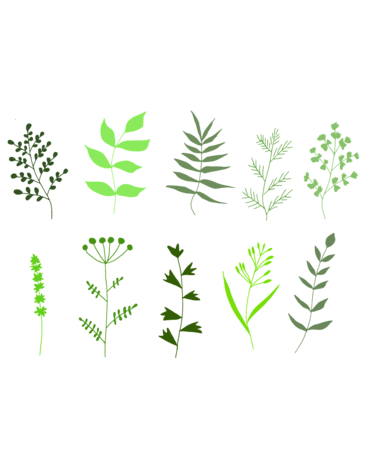 HERB, 4" NOT SOLD ONLINE* $2.99 EA.