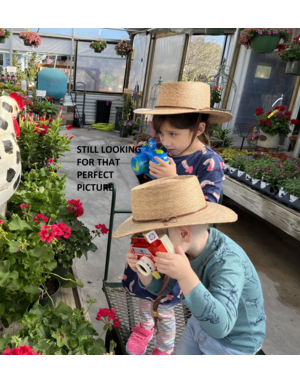 ROSEMARY, 'PROSTRATE, 1G