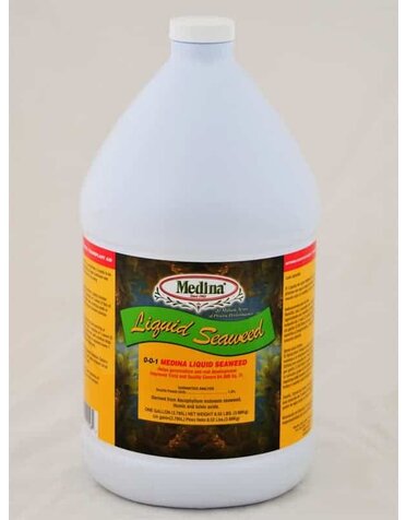 MEDINA, 'LIQUID SEAWEED 1GAL.