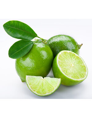 CITRUS, 'LIME, 'PALESTINIAN',  3G