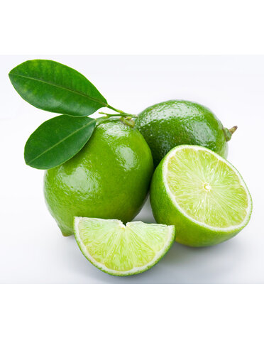 CITRUS, 'LIME, 'PALESTINIAN',  3G