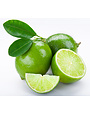 CITRUS, 'LIME, 'PALESTINIAN',  3G