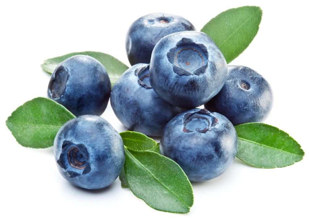 BLUEBERRY, 'TIFBLUE' 3G
