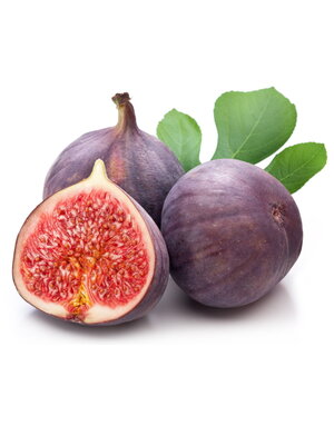 FIG TREE, 'BLACK MISSION', 3 OR 5G