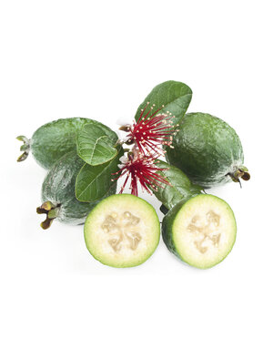 Pineapple Guava 3G