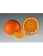 CITRUS, 'MANDARIN, 'CLEMENTINE', 3G
