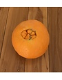CITRUS, 'ORANGE, 'NAVEL N33', DWARF 3G