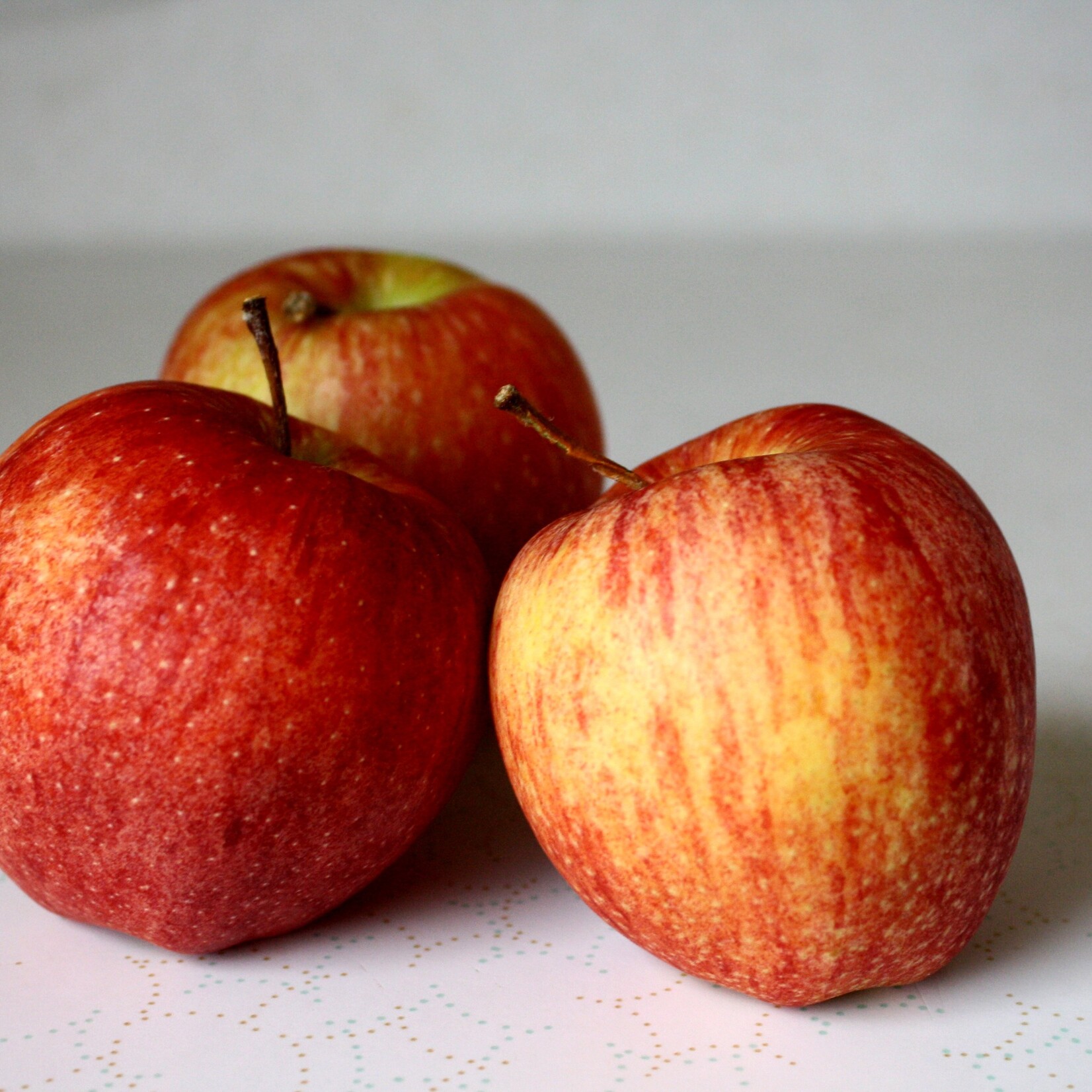 FRUIT TREE, APPLE, 'GALA', 3G-5G