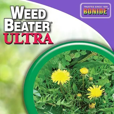 Spring Weeds in the Lawn Pt 2 post-emergent