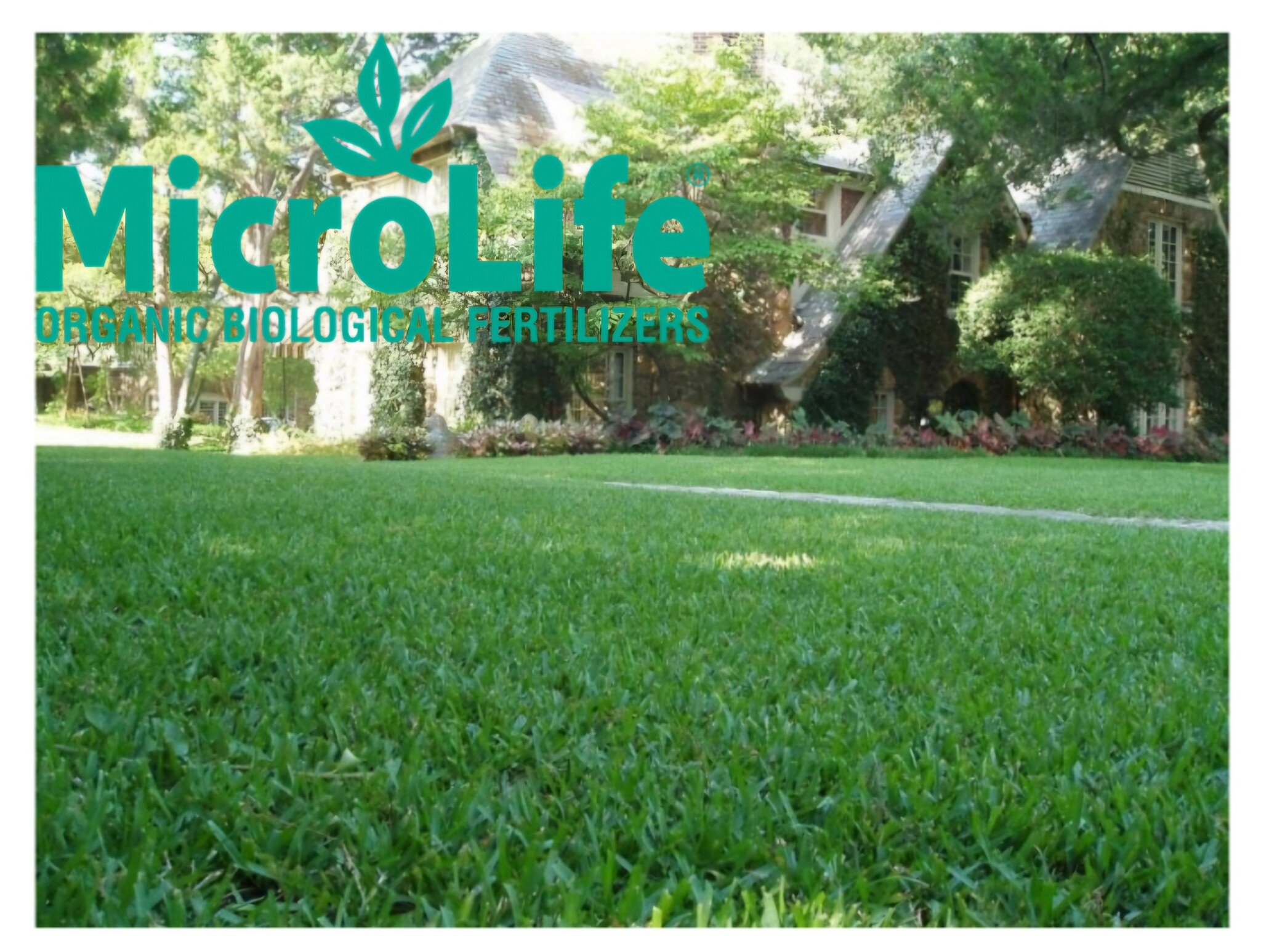 Green Healthy Lawn, DIBY Up - Do It Better Yourself
