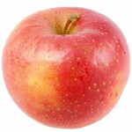 FRUIT TREE, APPLE, 'PINK LADY' 3G-5G