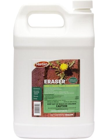 MARTINS, 'ERASER CONC. 1 G.