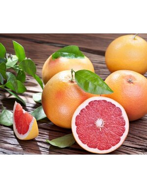 CITRUS, 'GRAPEFRUIT, 'RUBY RED' 3G