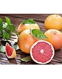 RUBY RED GRAPEGFRUIT TREE, 3 GALLON