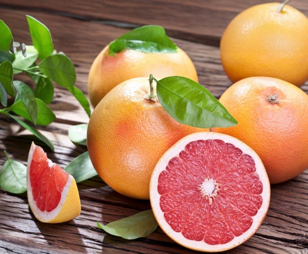 RUBY RED GRAPEGFRUIT TREE, 3 GALLON