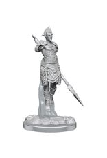 WizKids D&D Minis: W20 Sea Elf Fighters