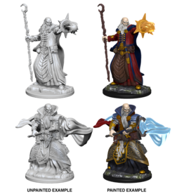 WizKids D&D Minis: W01 Human Male Wizard