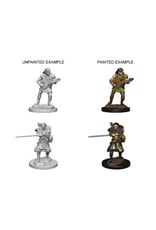 WizKids D&D Minis: W04 Human Male Bard