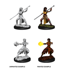 WizKids D&D Minis: W10 Half-Elf Female Monk