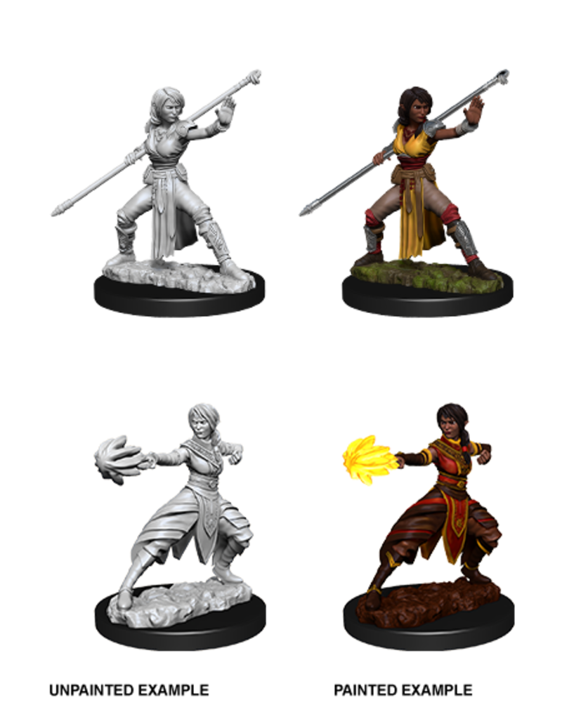 WizKids D&D Minis: W10 Half-Elf Female Monk