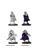 WizKids D&D Minis: W10 Human Female Sorcerer