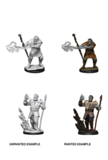 WizKids D&D Minis: W11 Firbolg Male Druid