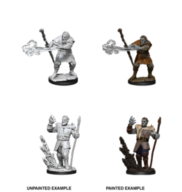 WizKids D&D Minis: W11 Firbolg Male Druid