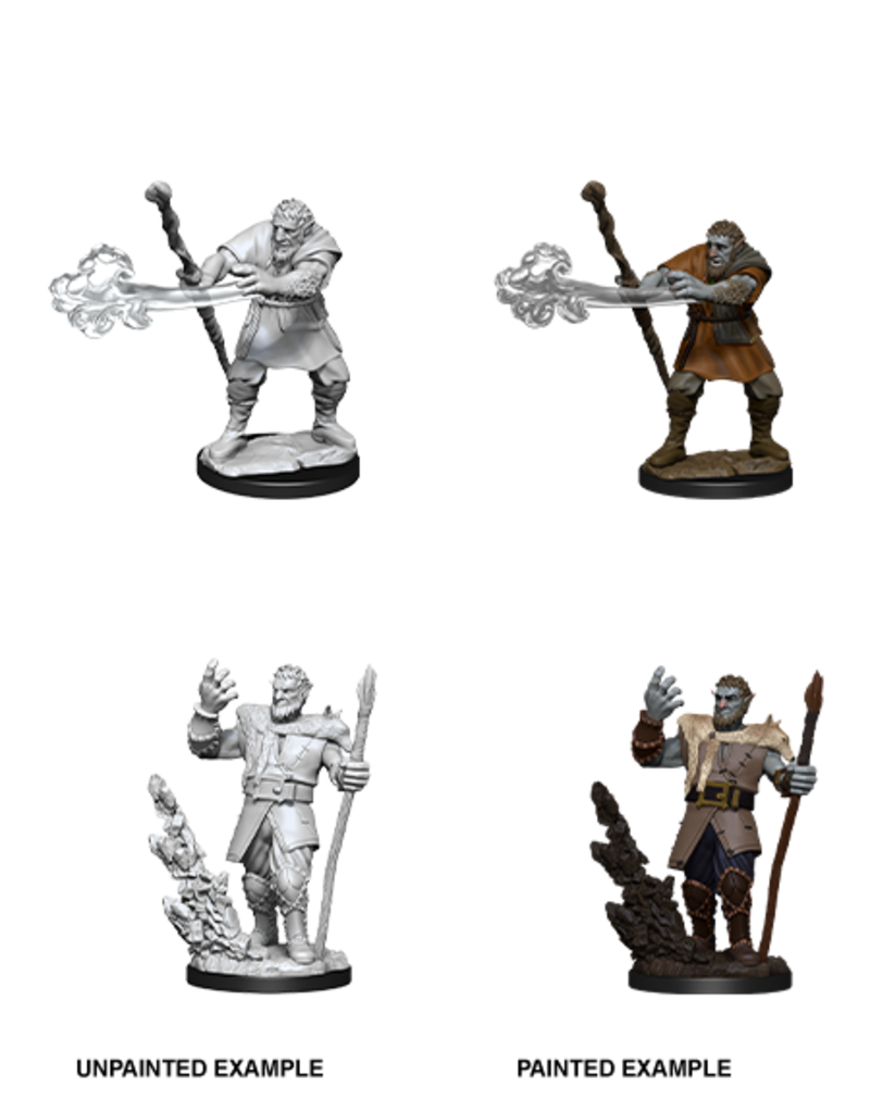 WizKids D&D Minis: W11 Firbolg Male Druid