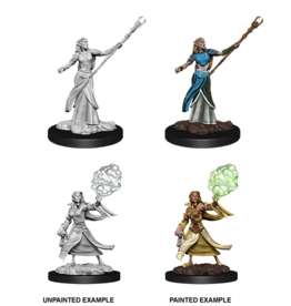 WizKids D&D Minis: W12 Elf Female Sorcerer