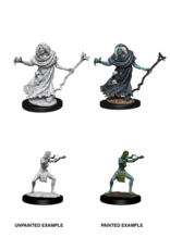 WizKids D&D Minis: W12 Sea Hag & Bheur Hag