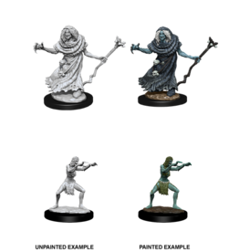 WizKids D&D Minis: W12 Sea Hag & Bheur Hag