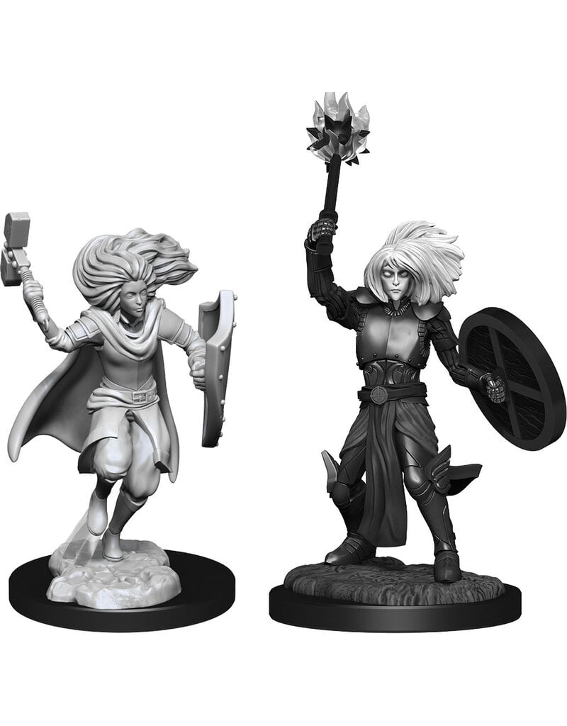 WizKids D&D Minis: W14 Changeling Male Cleric