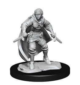 WizKids D&D Minis: W14 Half-Elf Female Rogue