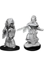 WizKids D&D Minis: W14 Night Hag & Dusk Hag