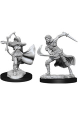 WizKids D&D Minis: W15 Female Air Genasi